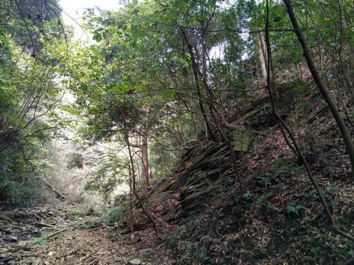 豪爵HJ150-2K最高时速？游戏画面