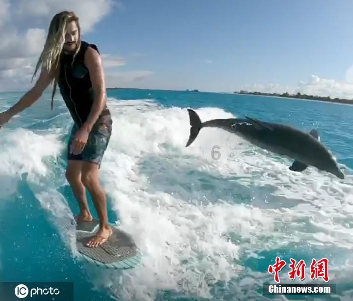 琴覆天下